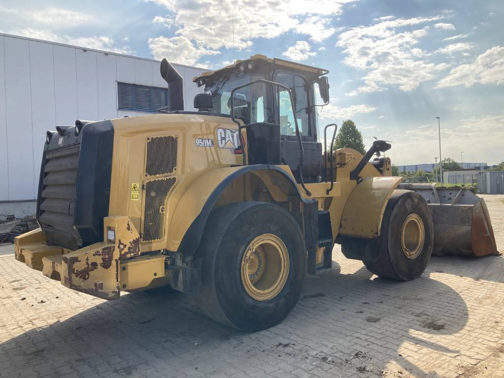 cat-950-m,76092a96.jpg