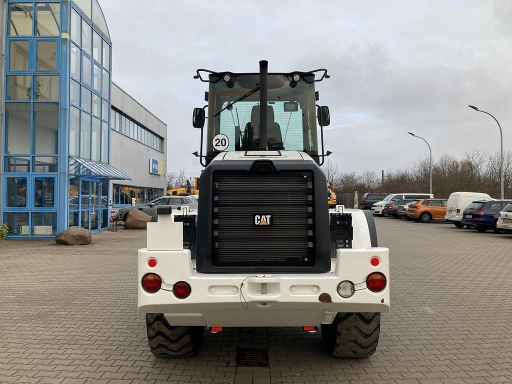 cat-914m,380e61c5-4.jpg