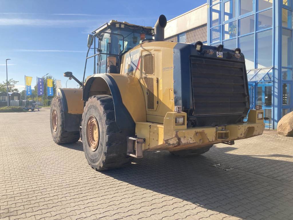cat-980-m,d212f159.jpg