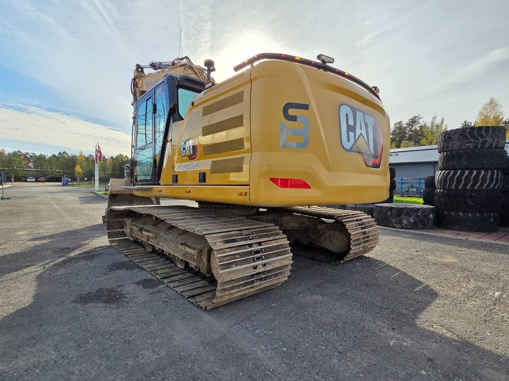 cat-323,d2645aff.jpg